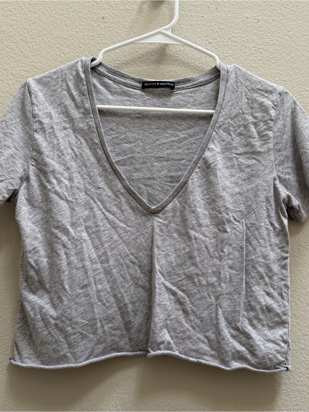 Brandy Melville Light Gray V-Neck Crop Tee